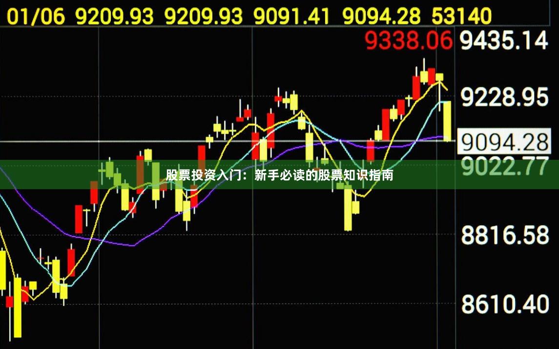 股票投资入门：新手必读的股票知识指南