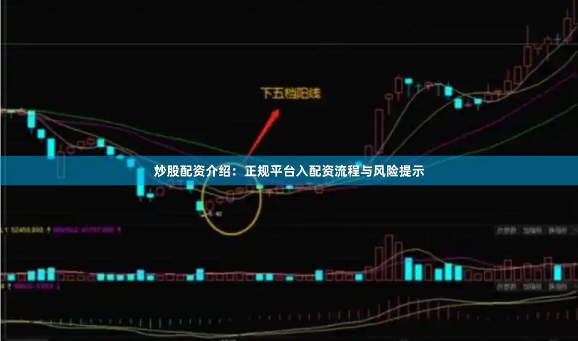 炒股配资介绍:正规平台入配资流程与风险提示